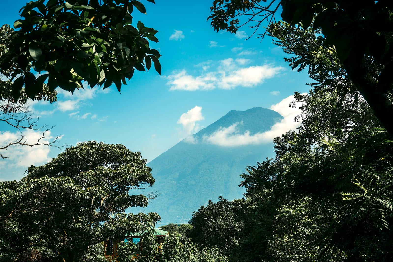 A volcano rising beyond the treeline at Maestro Valley