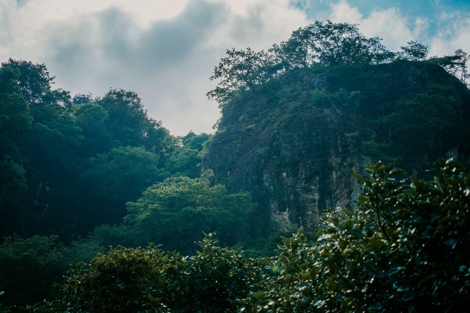 A natural cliff face rising above the jungle at Maestro Valley