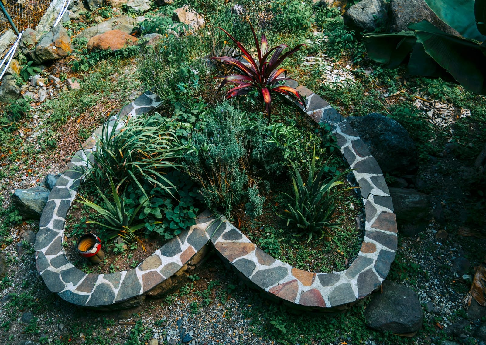 A heart-shaped stone garden bed planted with greenery